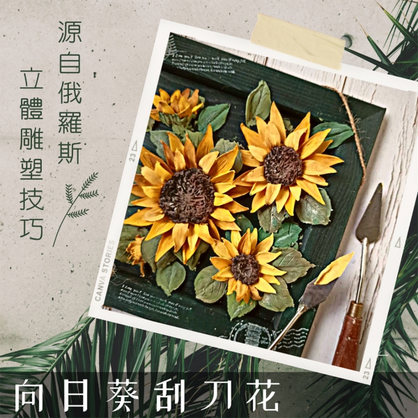 向日葵刮刀花