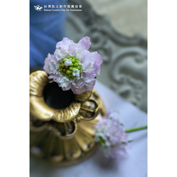 藍盆花三 協會