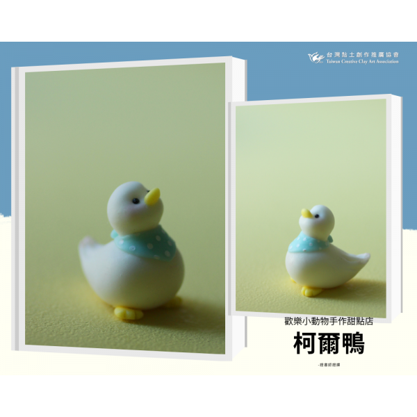 2.柯爾鴨