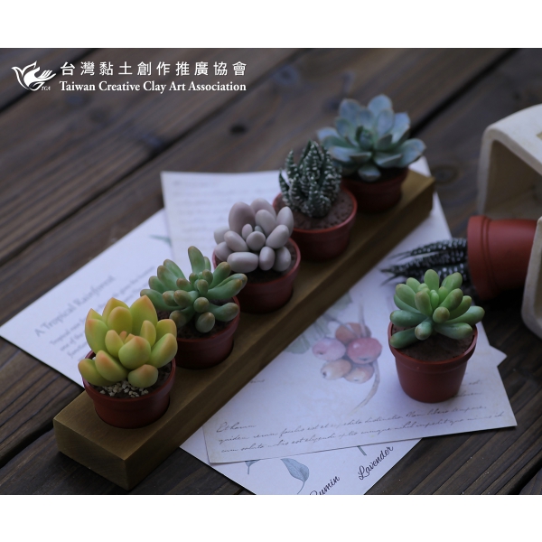 黏土多肉植物小花園 (1)
