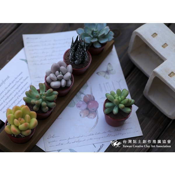 黏土多肉植物小花園 (4)