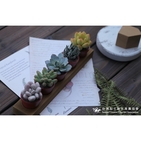 黏土多肉植物小花園