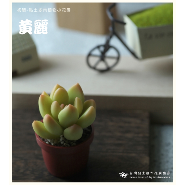 黃麗特寫