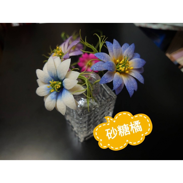黑種草單堂課