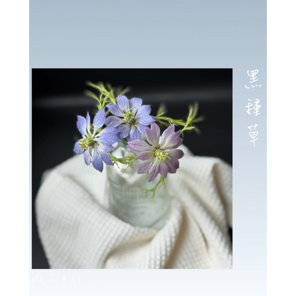 黑種草單堂課