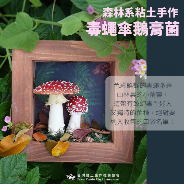 0_112_01毒蠅傘鵝膏菌