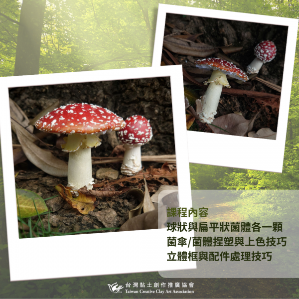0_112_02毒蠅傘鵝膏菌