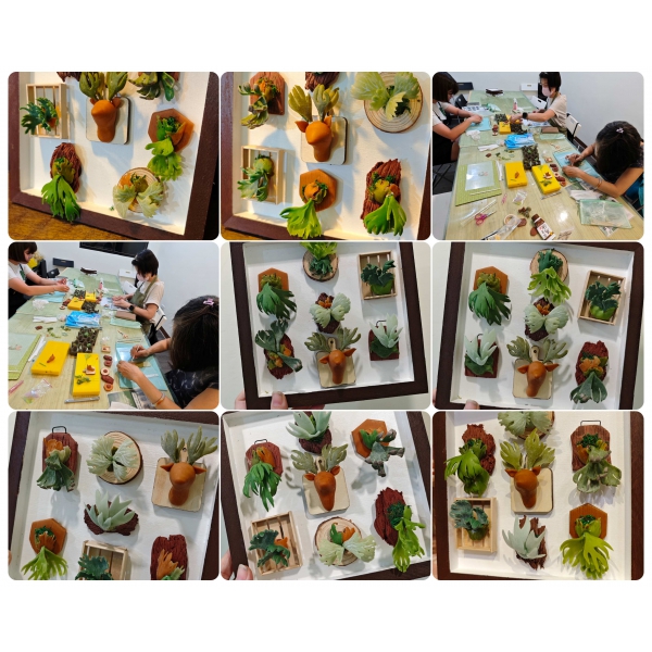 00_202511_鹿角蕨教學01