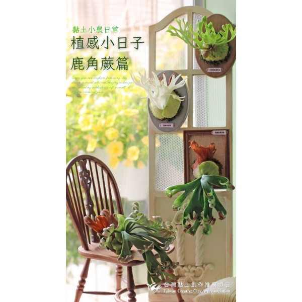丸子 協會 小農鹿角蕨課程 的複本