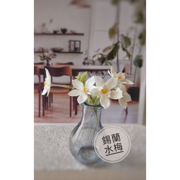 黏土室內小花園