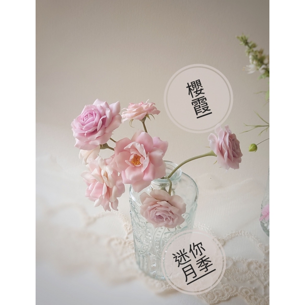 黏土室內小花園