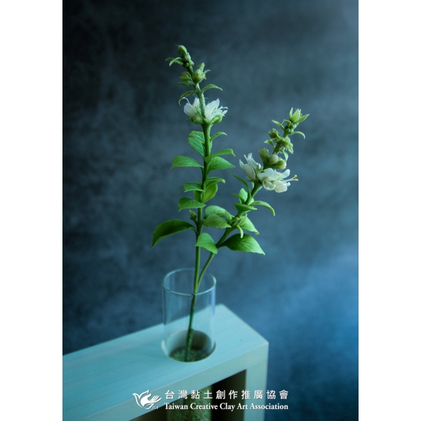 黏土室內小花園