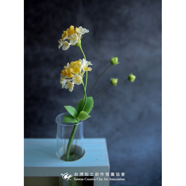 黏土室內小花園