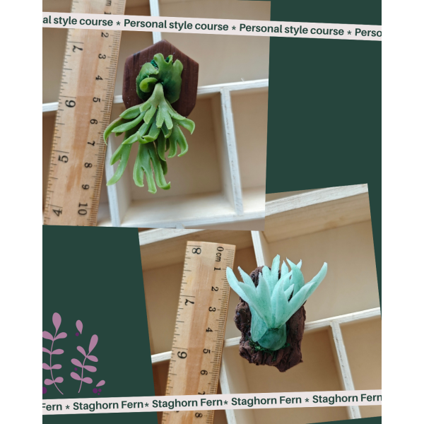 00_202510_官網圖02