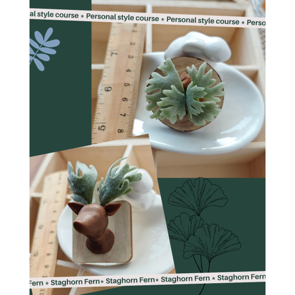 00_202510_官網圖03