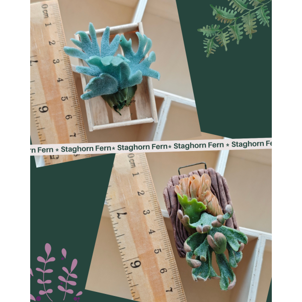 00_202510_官網圖04-